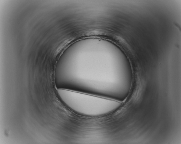 X0000099961217200805231018