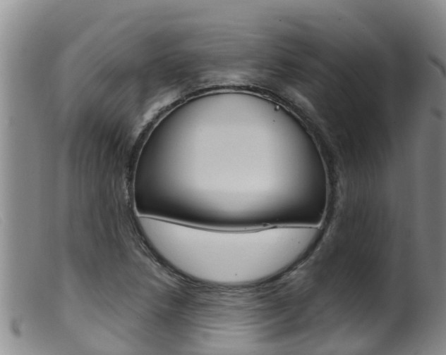 X0000099961218200805231018
