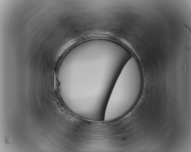X0000099961219200805231018