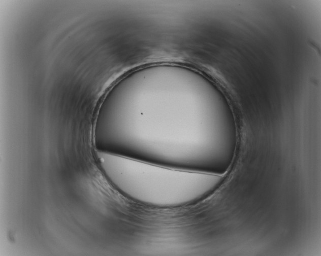 X0000099961220200805231018