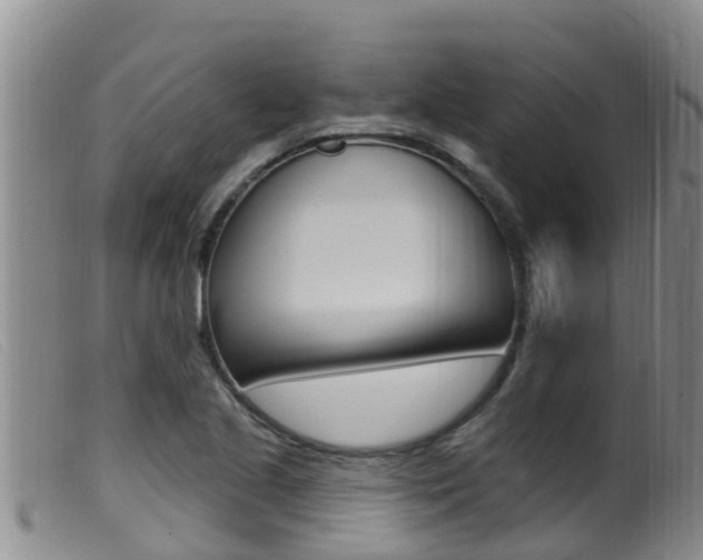 X0000099961221200805231018