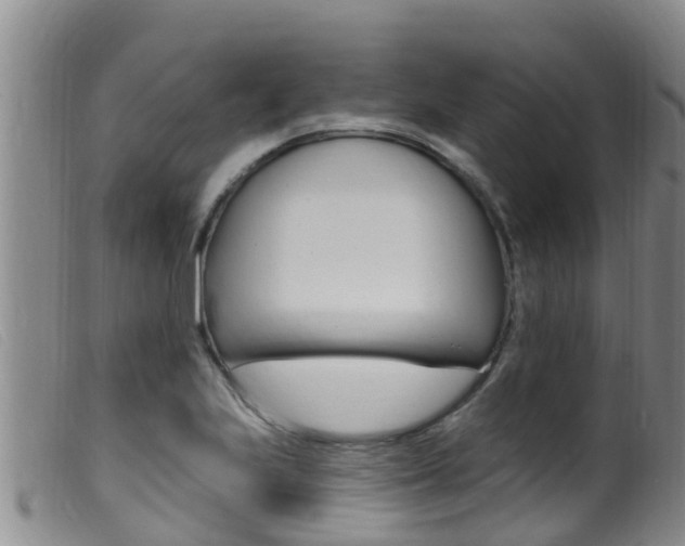 X0000099961223200805231018
