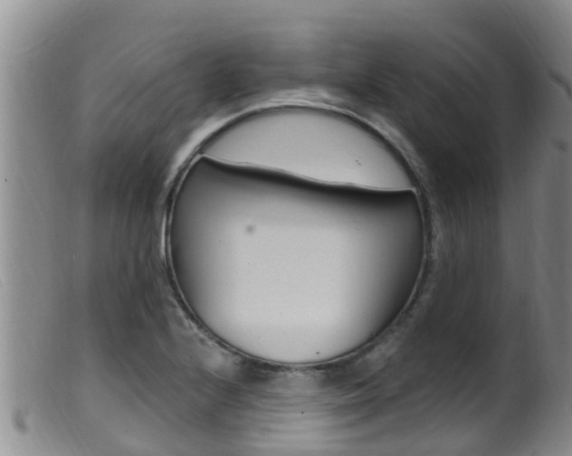 X0000099961224200805231018