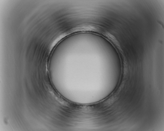 X0000099961226200805231018