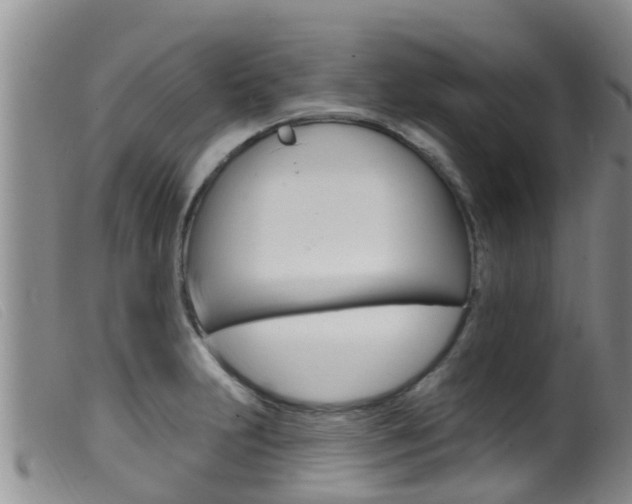 X0000099961231200805231018