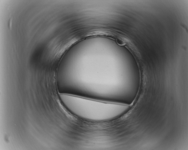X0000099961233200805231018