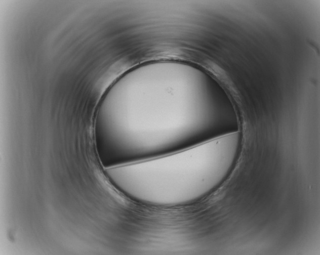 X0000099961234200805231018