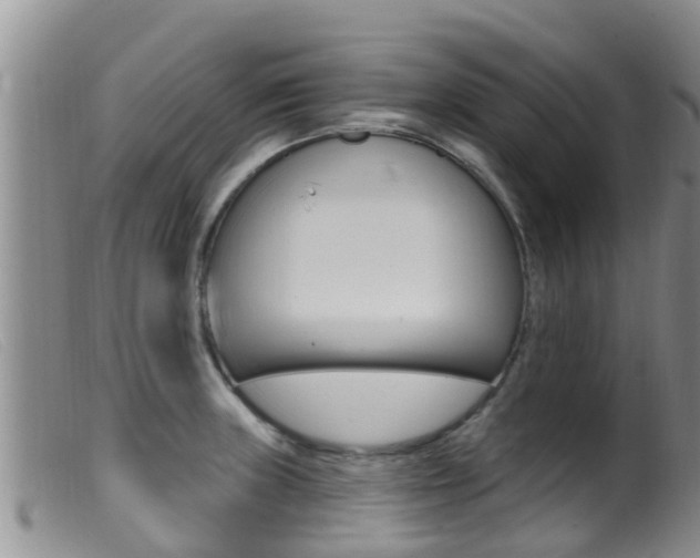 X0000099961235200805231018
