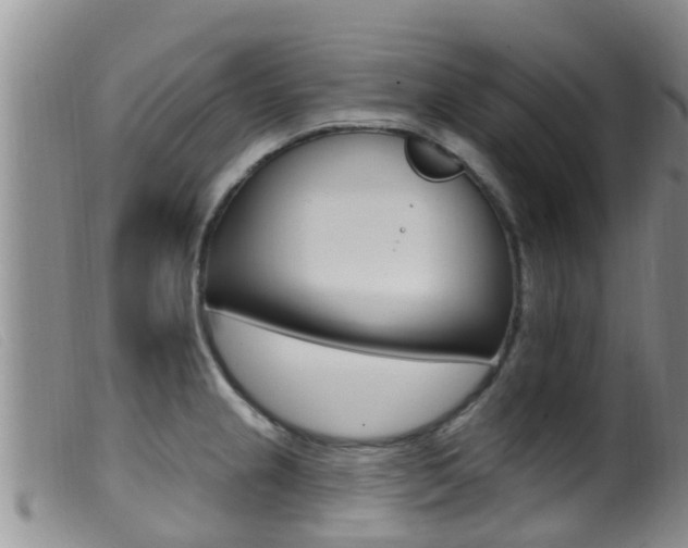 X0000099961237200805231019