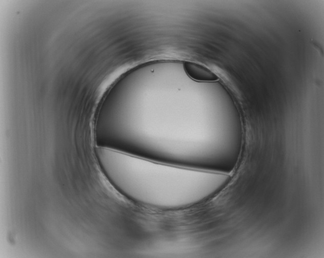 X0000099961238200805231019