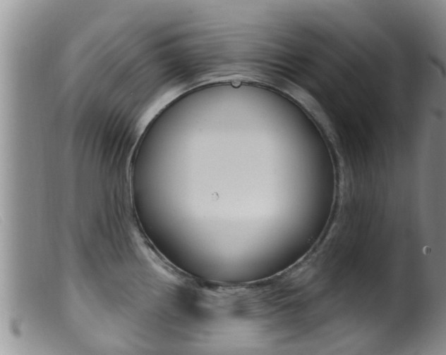 X0000099961242200805231019