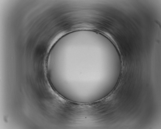 X0000099961243200805231019