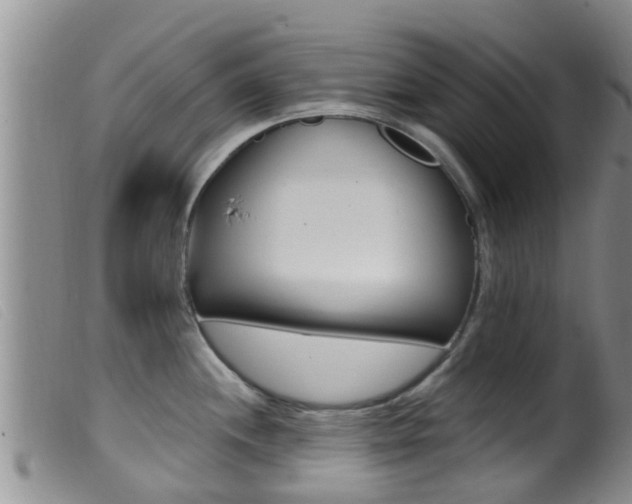 X0000099961244200805231019