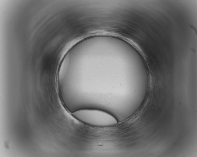 X0000099961247200805231019