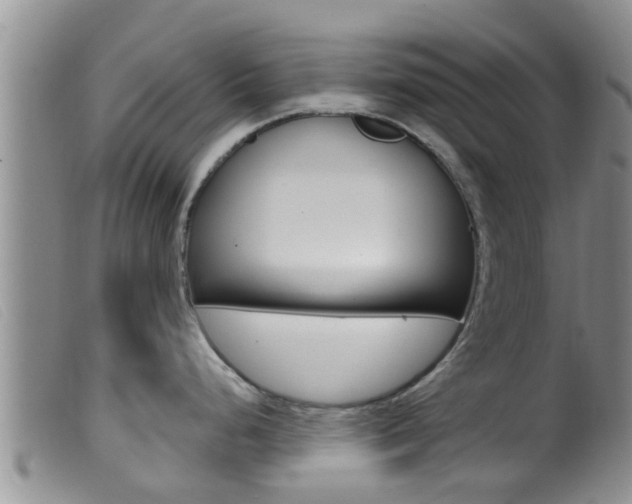 X0000099961248200805231019