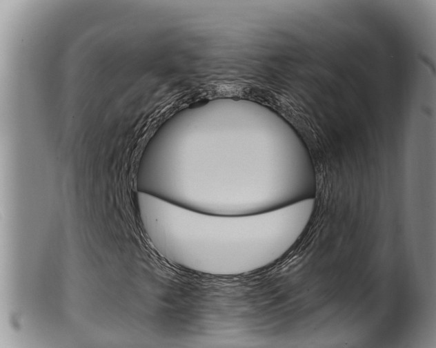 X0000099961249200805231018