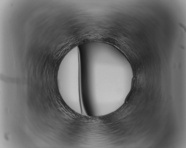 X0000099961250200805231018