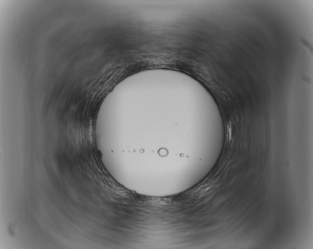 X0000099961251200805231018