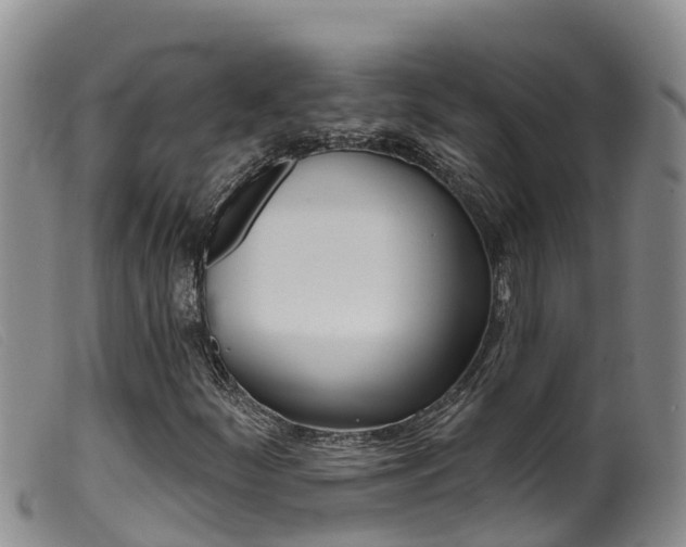 X0000099961252200805231018