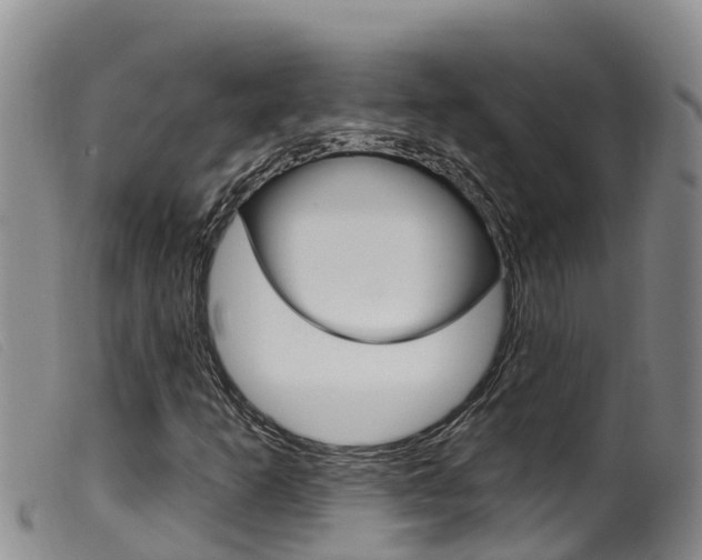 X0000099961253200805231018