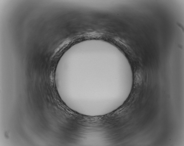 X0000099961254200805231018