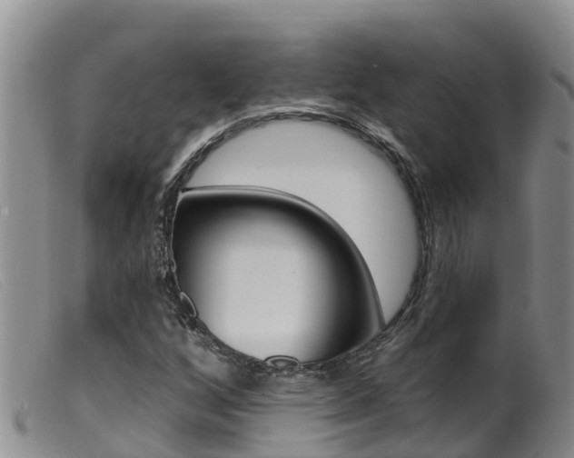 X0000099961256200805231018