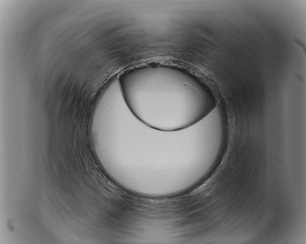 X0000099961257200805231018