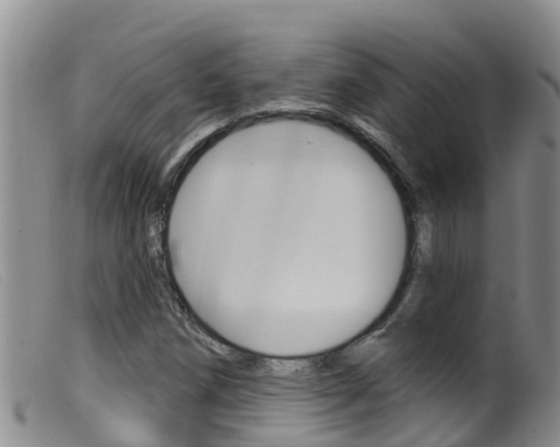 X0000099961258200805231018