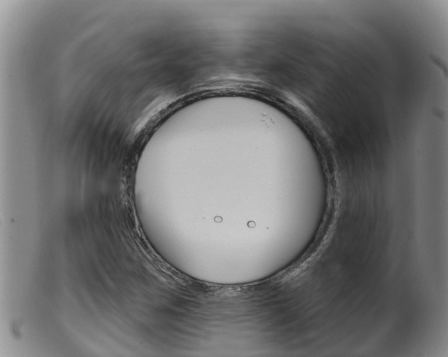X0000099961259200805231018
