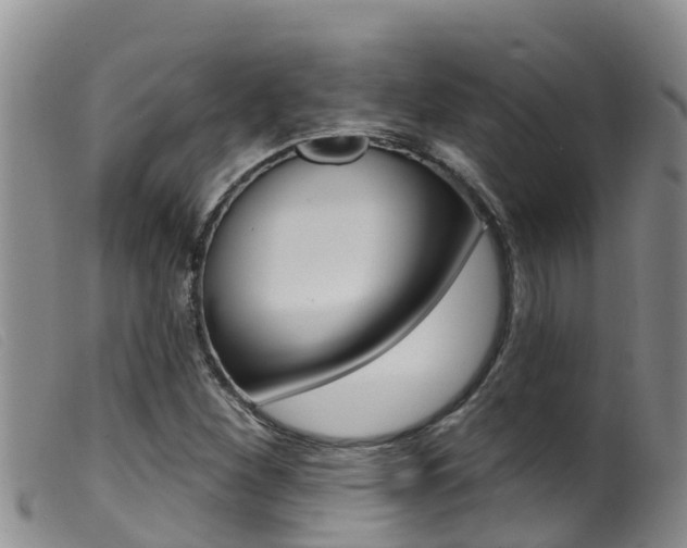 X0000099961260200805231018