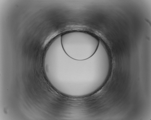 X0000099961261200805231018