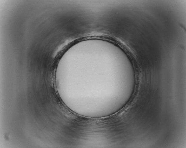 X0000099961262200805231018