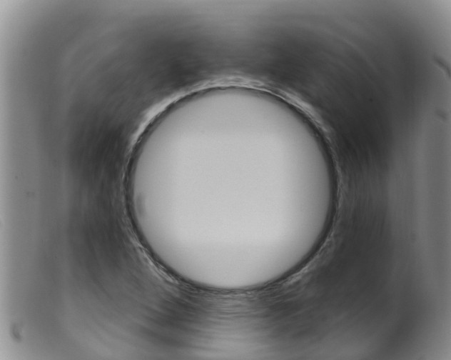 X0000099961264200805231018