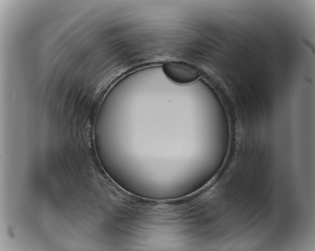 X0000099961265200805231018