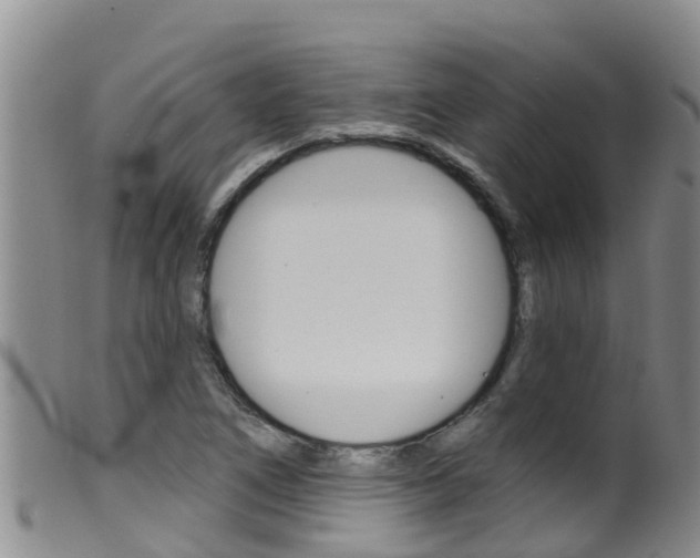 X0000099961266200805231018
