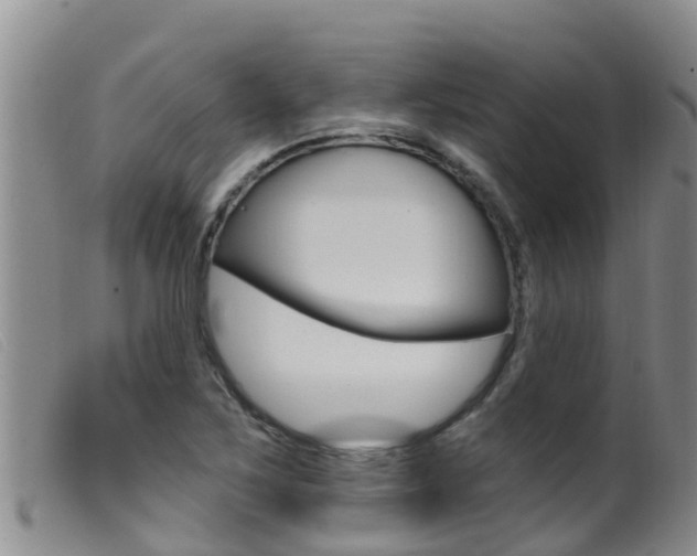 X0000099961267200805231018