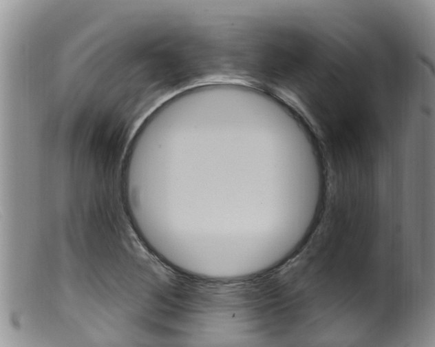 X0000099961268200805231018