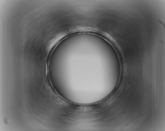 X0000099961269200805231018