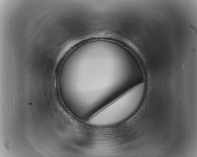 X0000099961270200805231018