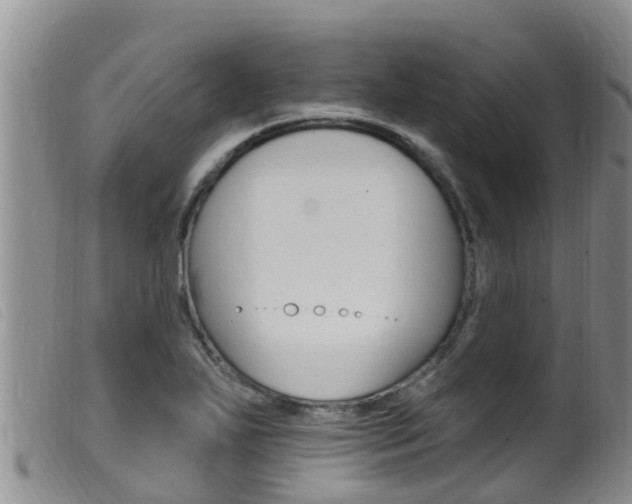 X0000099961271200805231018