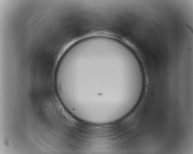 X0000099961272200805231018