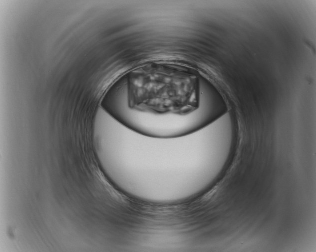 X0000099961273200805231017