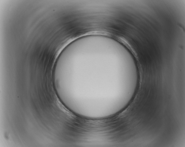 X0000099961276200805231017
