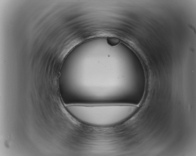X0000099961281200805231017