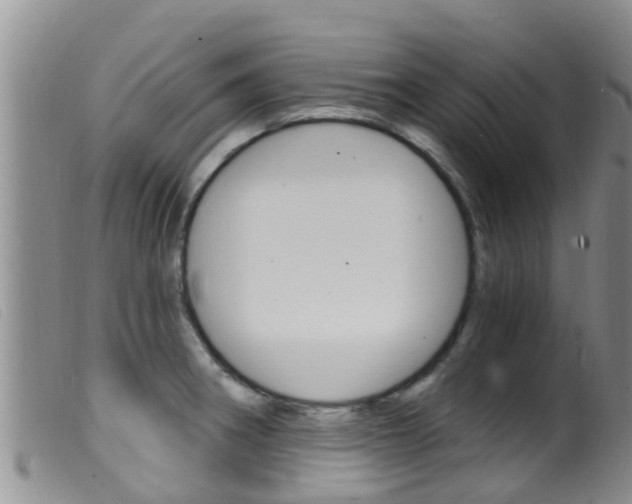 X0000099961282200805231017