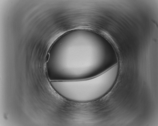 X0000099961284200805231017