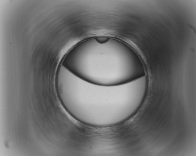 X0000099961285200805231017