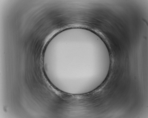 X0000099961286200805231017