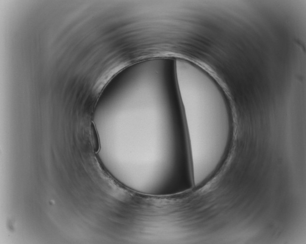 X0000099961289200805231017