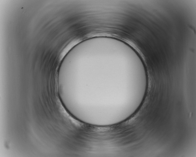 X0000099961290200805231017